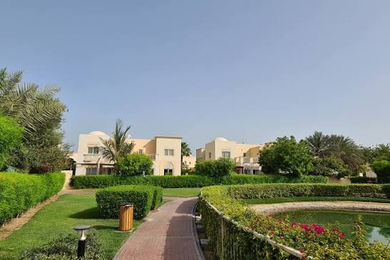 Townhouses and landscaped gardens with a water feature in The Springs Dubai